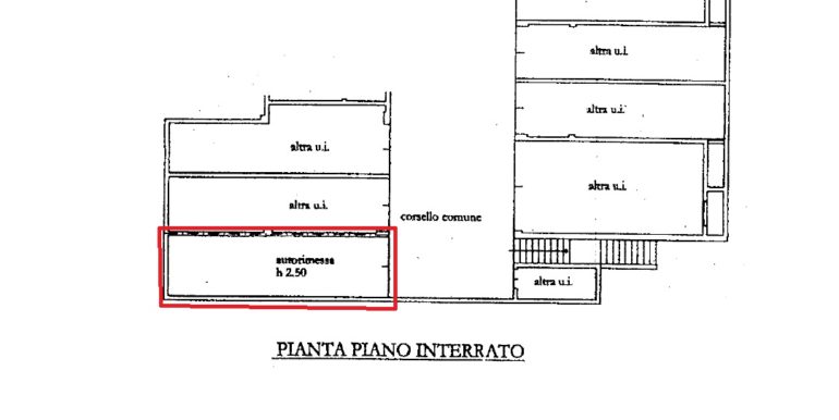 piantina