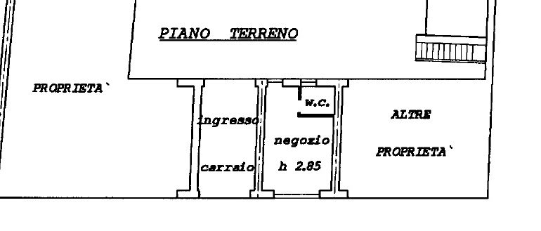 piantina x internet NEGOZIO