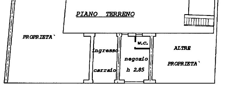 piantina x internet NEGOZIO