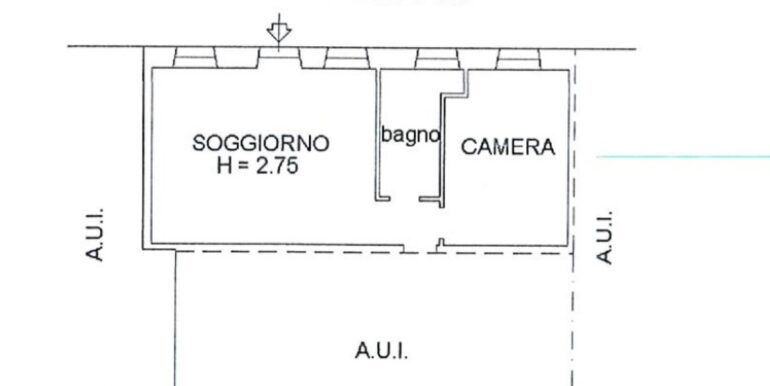 piantina x internet